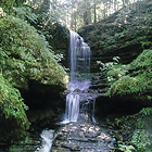 Horseshoe Falls