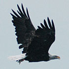 Seney Wildlife Refuge