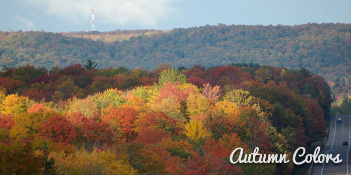 Autumn Events