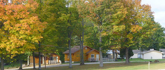 Alger Falls motel and cabins