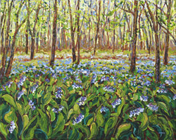 Bluebells
