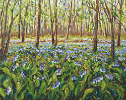 Bluebells