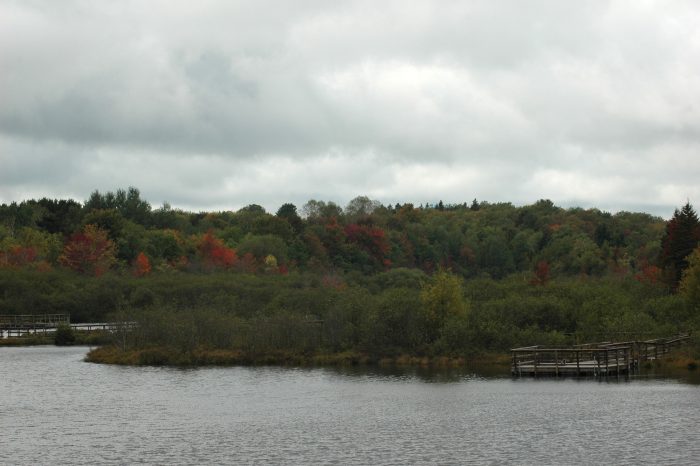 overlooking pond on H13