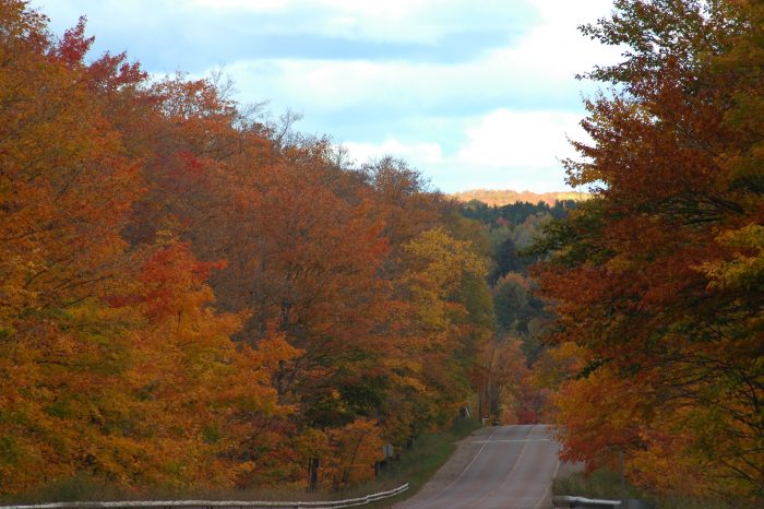 fall colors